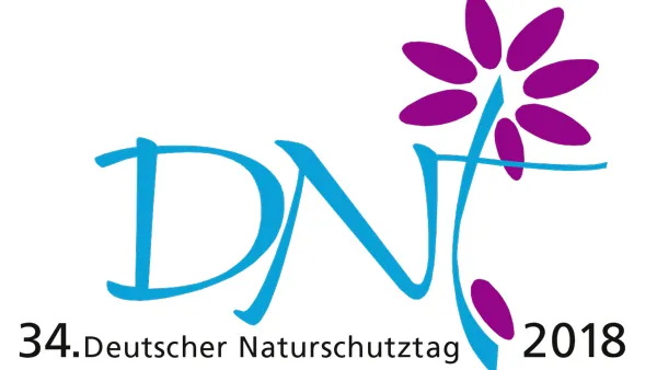 DNT_2018